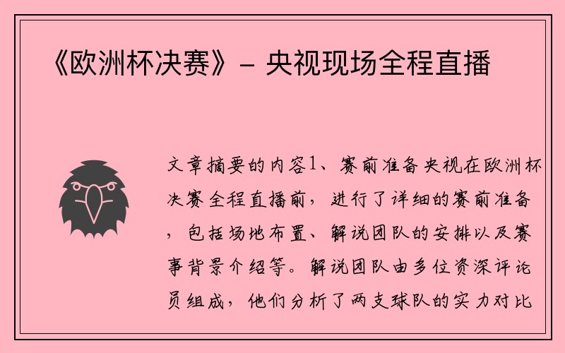 《欧洲杯决赛》- 央视现场全程直播